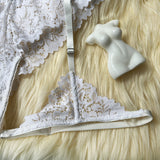 Lace Trim Sheer Hollow Lingerie Set