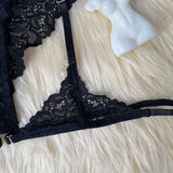 Lace Trim Sheer Hollow Lingerie Set